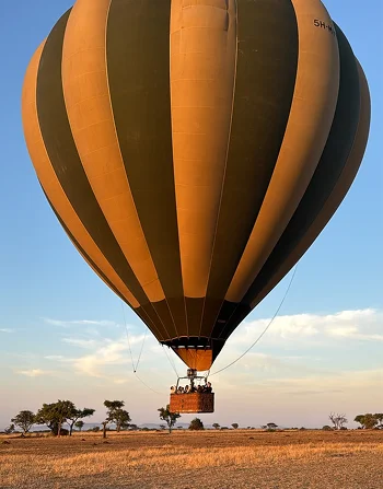 A hot-air balloon lifting above the plains.