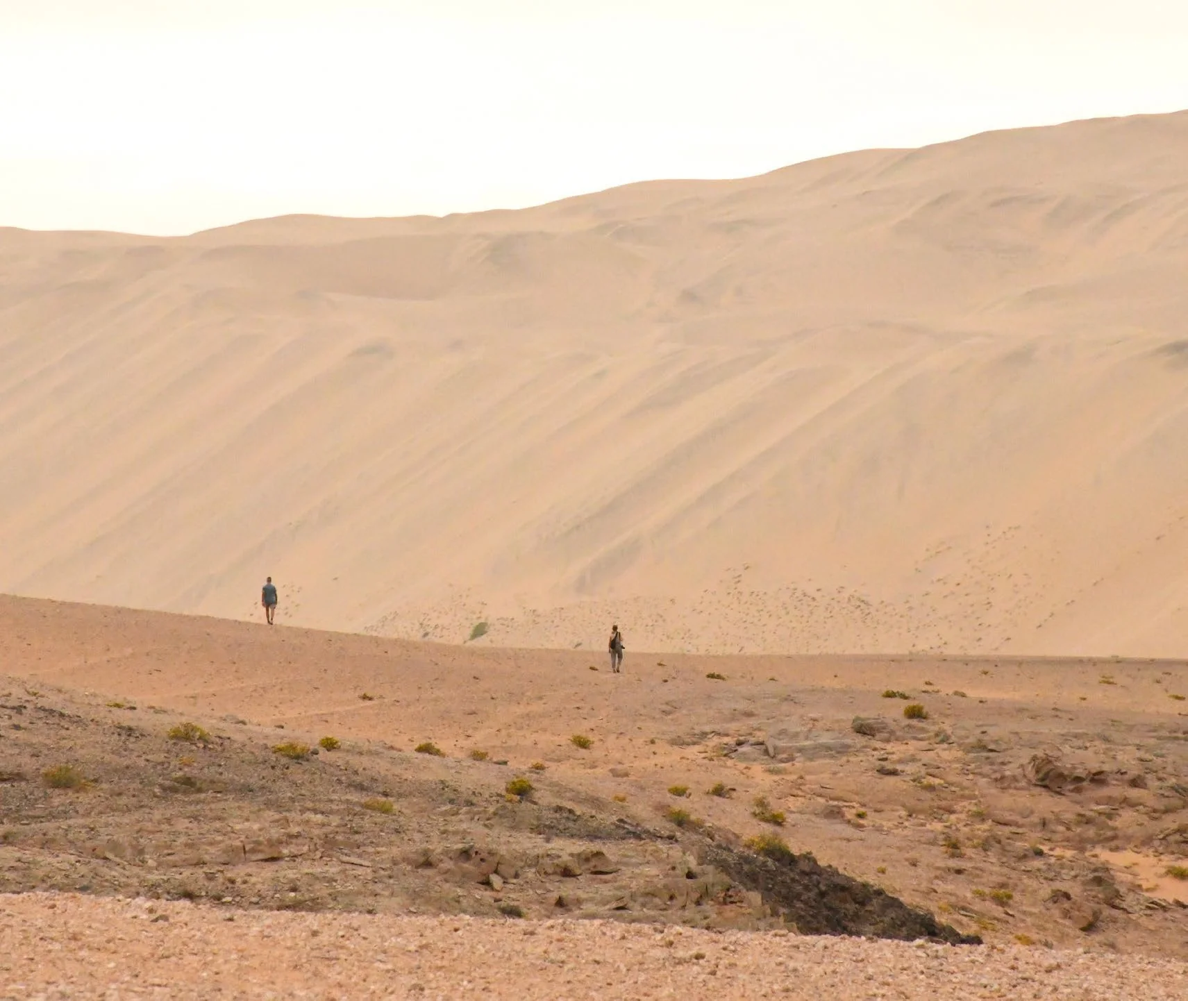 Iona Biosphere and the Namib desert