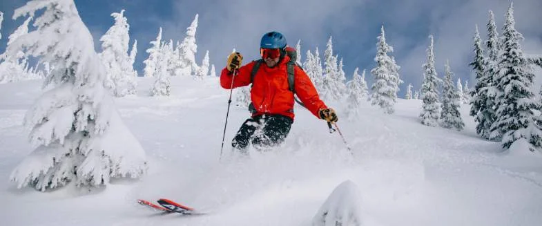 Skier moving through powder among snow-covered trees in British Columbia