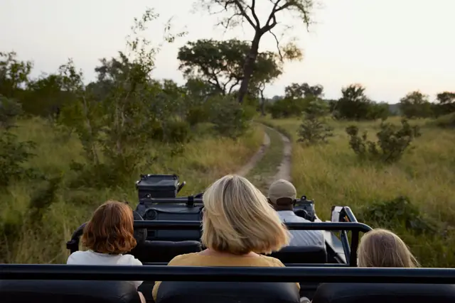 Cheetah Plains