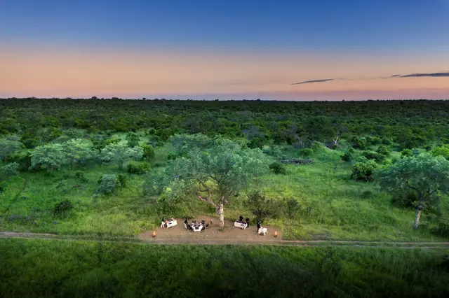 Cheetah Plains