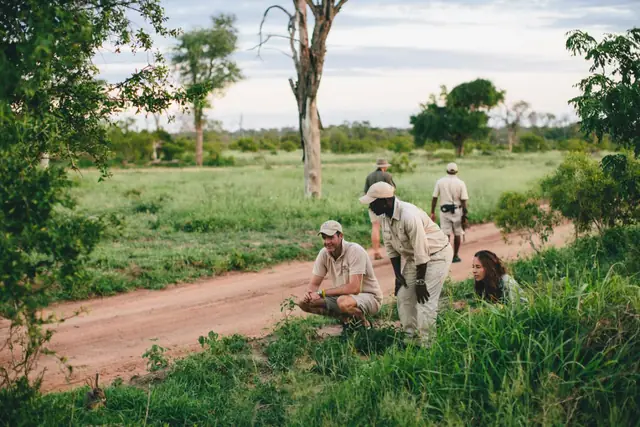Londolozi Founders Camp