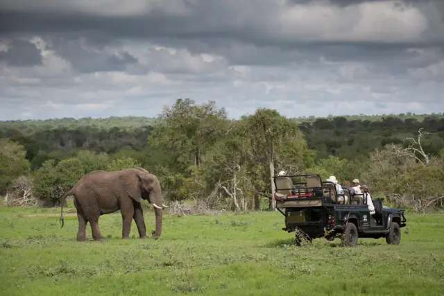Londolozi Founders Camp