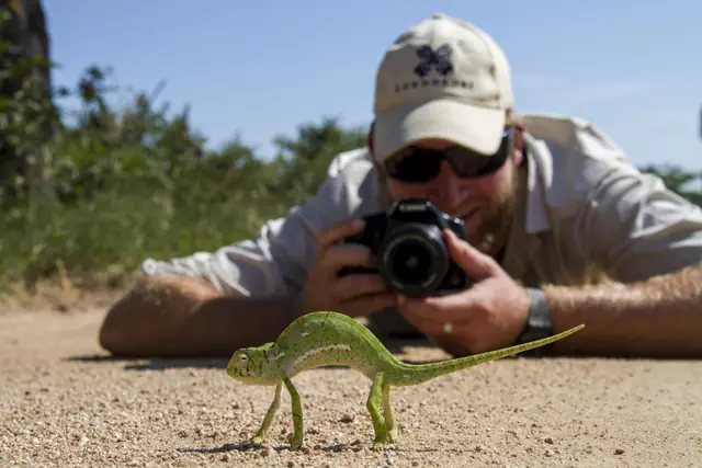 Londolozi Founders Camp