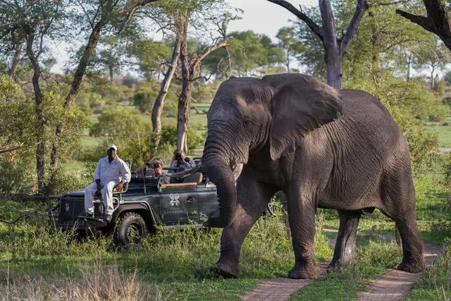 Londolozi Pioneer Camp