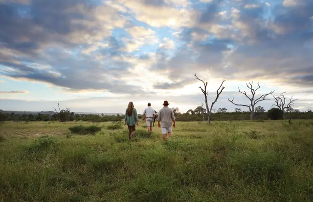Londolozi Pioneer Camp