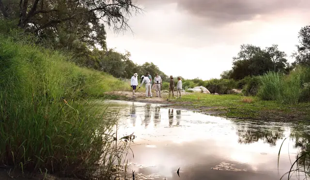 Londolozi Pioneer Camp
