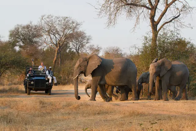 Londolozi Pioneer Camp