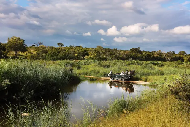 Londolozi Pioneer Camp