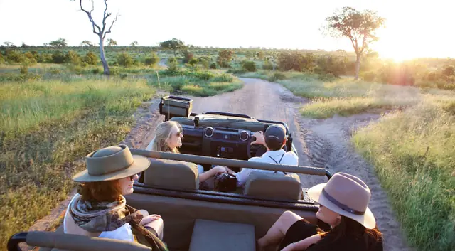 Londolozi Pioneer Camp