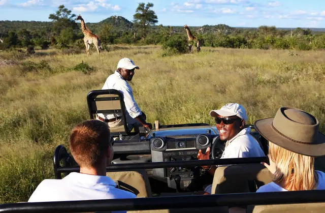 Londolozi Pioneer Camp
