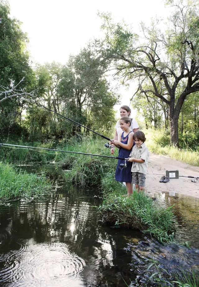 Londolozi Pioneer Camp