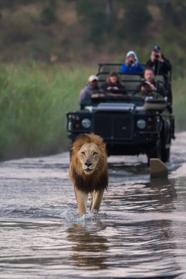 Londolozi Pioneer Camp