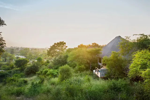 Londolozi Pioneer Camp