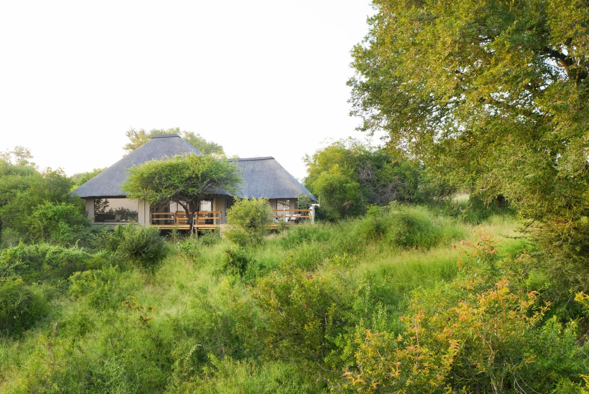 Londolozi Pioneer Camp