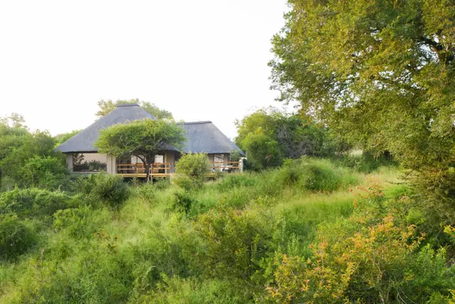Londolozi Pioneer Camp