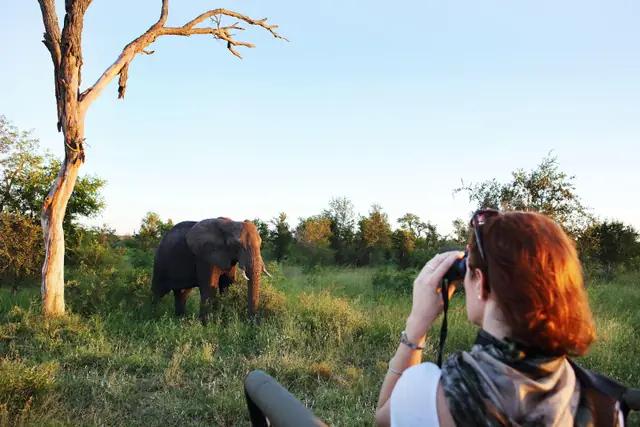 Londolozi Private Granite Suites
