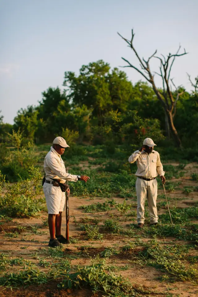 Londolozi Private Granite Suites