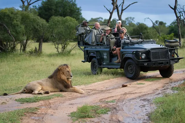 Londolozi Private Granite Suites