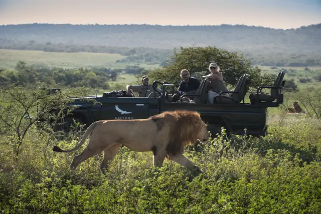 &Beyond Ngala Tented Camp