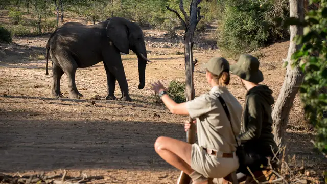 &Beyond Ngala Tented Camp