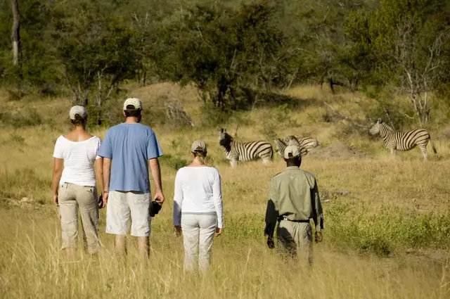 &Beyond Ngala Tented Camp