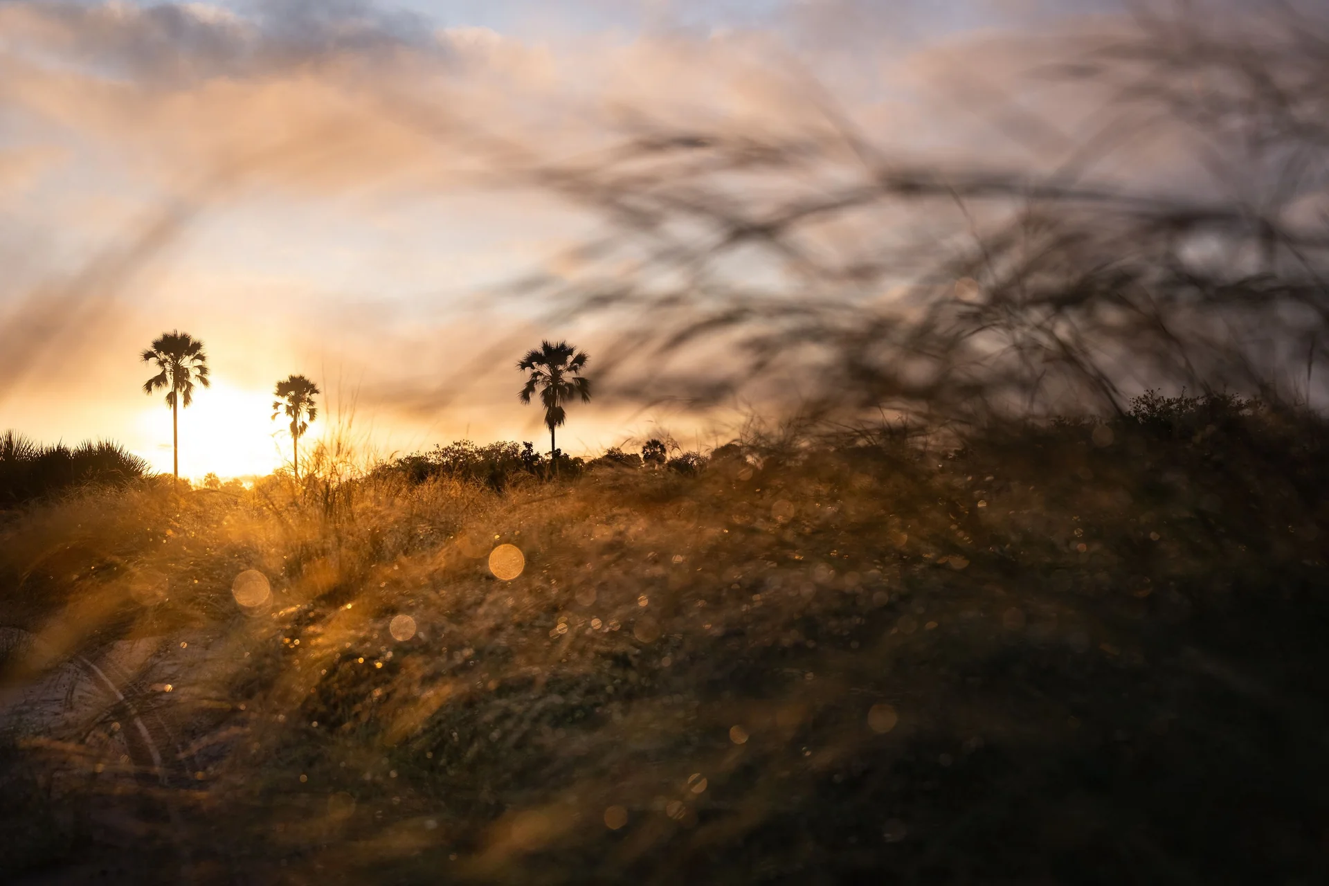 Singita Elela