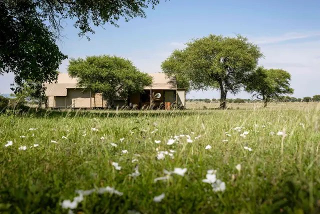 Singita Sabora Tented Camp gallery image