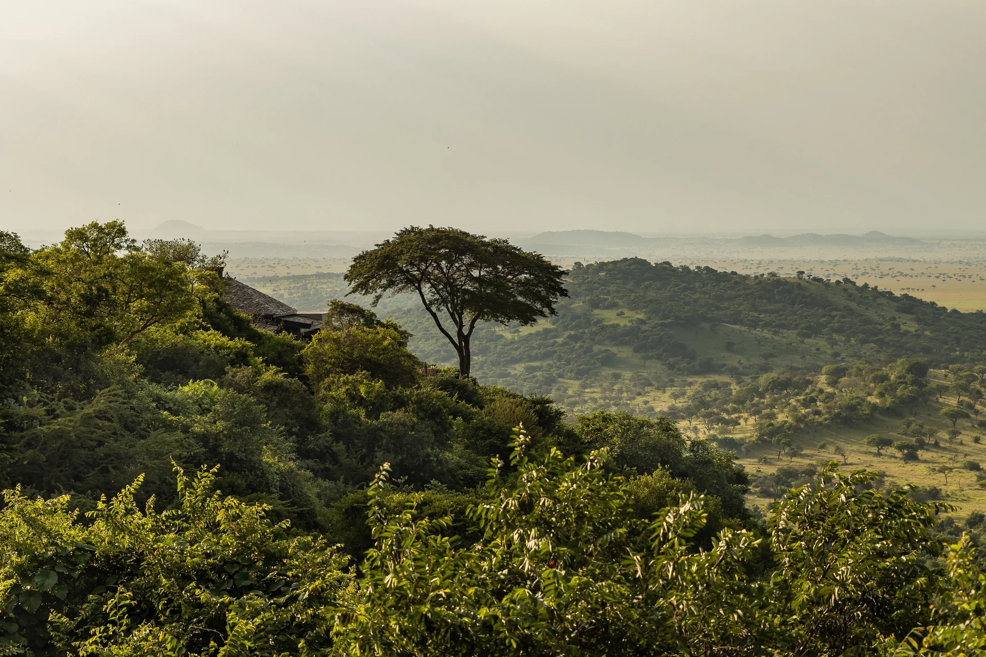 Singita Sasakwa Lodge