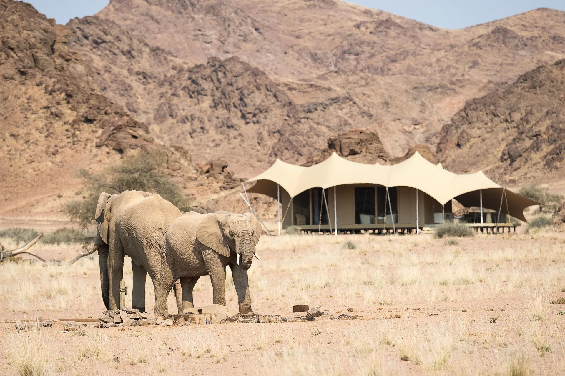 Wilderness Hoanib Skeleton Coast